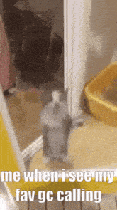 a picture of a cat standing in a doorway with the caption " me when i see my fav gc calling "