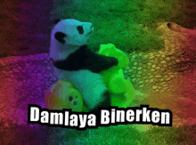 a picture of a panda bear sitting on a green toy bear with the words damlaya binerken above it