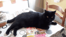 a black cat laying on a table with a magazine that says nouveau