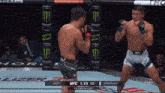 two men are fighting in a cage with monster energy cans on the wall behind them