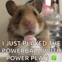 a hamster with the words i just played the powerball ( with power play )