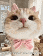 a cat wearing a pink bow tie and pink ears is looking at the camera .
