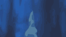 a person is standing in a dark forest with a blue background .