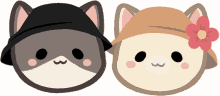 cats with hat cats with hats mimi and nini mimi nini