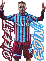 Trabzonspor Edin Sticker