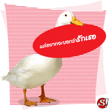 Happy Valentine'S Day Greetings GIF - Happy Valentine'S Day Greetings White Duck GIFs