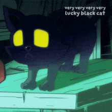 a very very very very lucky black cat standing on a table