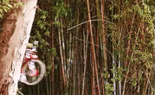 Paul Reubens Pee Wee Herman GIF - Paul Reubens Pee Wee Herman Bike GIFs