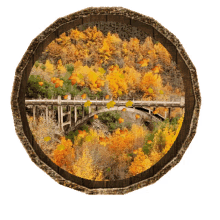 fall animated stickers autumn animated stickers