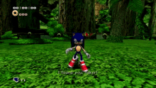 Faker Sonic Adventure GIF