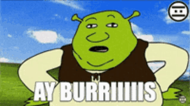 Shrek Burro GIF - Shrek Burro Donkey - Discover & Share GIFs