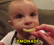 Lemonade Its So Sour GIF - Lemonade Its So Sour Meme Face GIFs