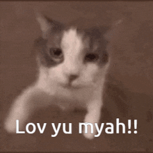 Myah Love You GIF - Myah Love You GIFs