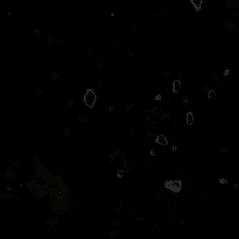 Fly Storm GIF - Fly Storm Wind GIFs