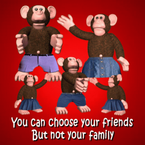 Monkey Family Monkey Troop GIF - Monkey Family Monkey Troop Choose Your  Friends - Discover & Share GIFs