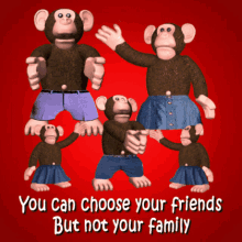 Monkey Family Monkey Troop GIF - Monkey Family Monkey Troop Choose Your Friends GIFs