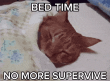 a cat is sleeping on a bed with the words bed time no more supervive above it