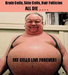 Fat Fatman GIF - Fat Fatman Fatcells GIFs
