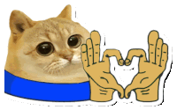 Catcoin Cat Memes Sticker