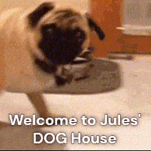 a pug dog standing on its hind legs with the words welcome to jules ' dog house below it