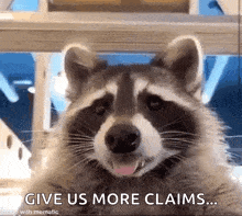 Raccoon Salivating GIF - Raccoon Salivating Drooling GIFs