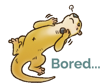 Otter Bored Sticker - Otter Bored Nothing To Do Stickers