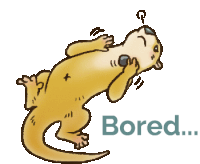 Otter Bored Sticker - Otter Bored Nothing To Do Stickers