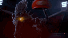 Ridley Spinning Hat GIF