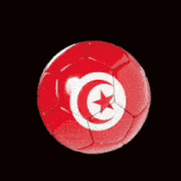 Tunisia Flag GIF - Tunisia Flag Ball GIFs