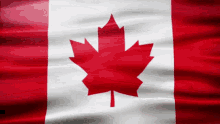 Canada Flag Gif GIF