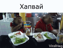 хапвай Hapvai GIF