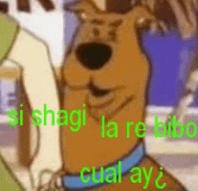Scooby Doo Shaggy GIF - Scooby Doo Shaggy Meme GIFs