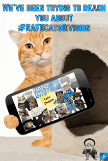 Nafocatsdivision Nafo Cat GIF