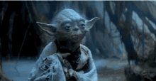 Master Yoda Star Wars GIF