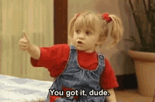You Got It Dude Michelle Tanner GIF - You Got It Dude Michelle Tanner Full House GIFs