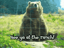 Wave Bear GIF - Wave Bear Ranch GIFs