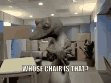 Whose Chair Is That Lizard GIF - Whose Chair Is That Lizard GIFs
