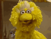 Big Bird GIF - Big Bird Sesame Street GIFs