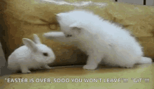 Funny Animals Bunny Slap GIF - Funny Animals Bunny Slap Easter Is Over GIFs