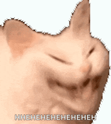 Hehe GIF