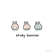 Study Hard GIF - Bunny Cute Motivation GIFs
