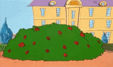 a cartoon drawing of a large bush with red roses in front of a yellow building .