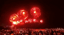 a crowd of people watching a fireworks display at night