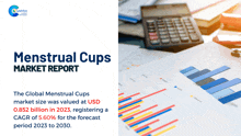 Menstrual Cups Market Report 2024 GIF - Menstrual Cups Market Report 2024 GIFs