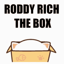 Roddy Rich The Box GIF - Roddy Rich The Box Cat Box GIFs