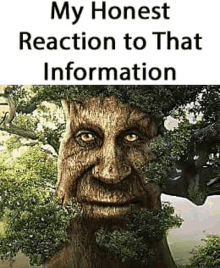 Tree My Reaction To That Information GIF - Tree My Reaction To That Information My Reaction To That Information Meme GIFs