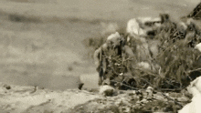 Running Up A Hill Seal Team GIF - Running Up A Hill Seal Team Jason Hayes GIFs