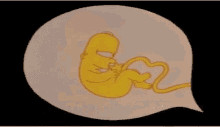 The Simpsons Homer Simpsons GIF - The Simpsons Homer Simpsons Inside The Womb GIFs