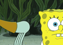 Spongebob Meme GIF