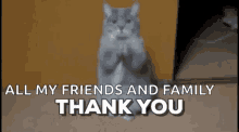 Thank You Thank GIF - Thank You Thank Cat GIFs
